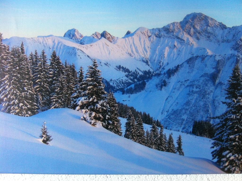 Gasthaus Glockle Leilighet Damuels Rom bilde